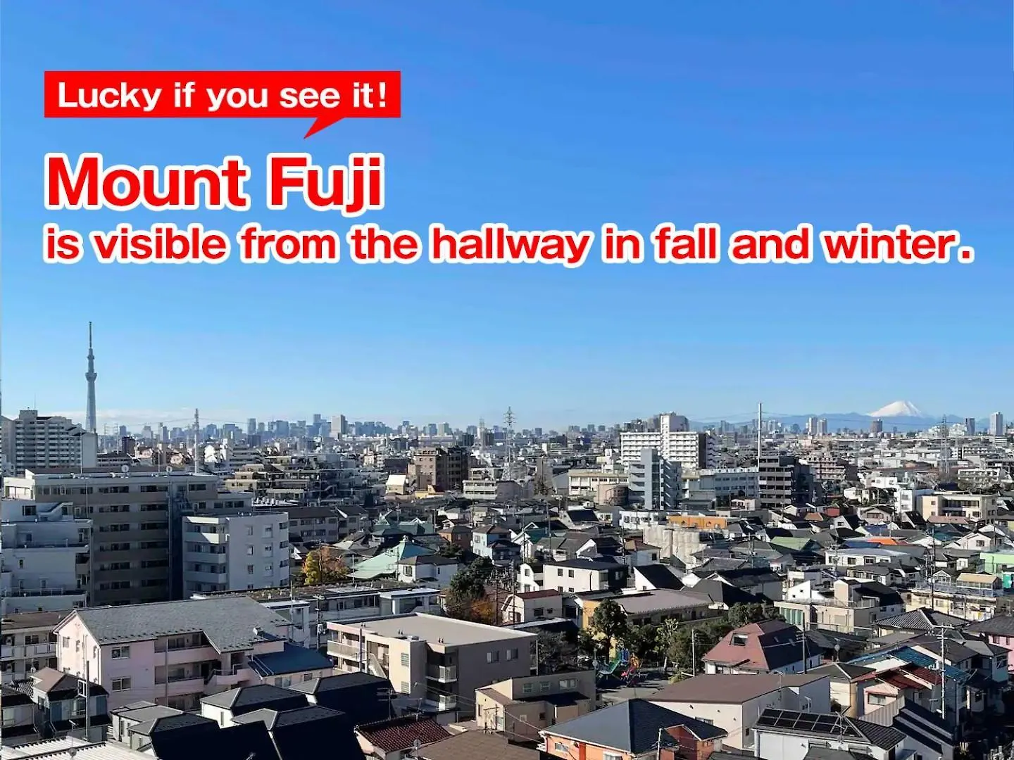 Appartement Sc Kameari 1105 à Tōkyō