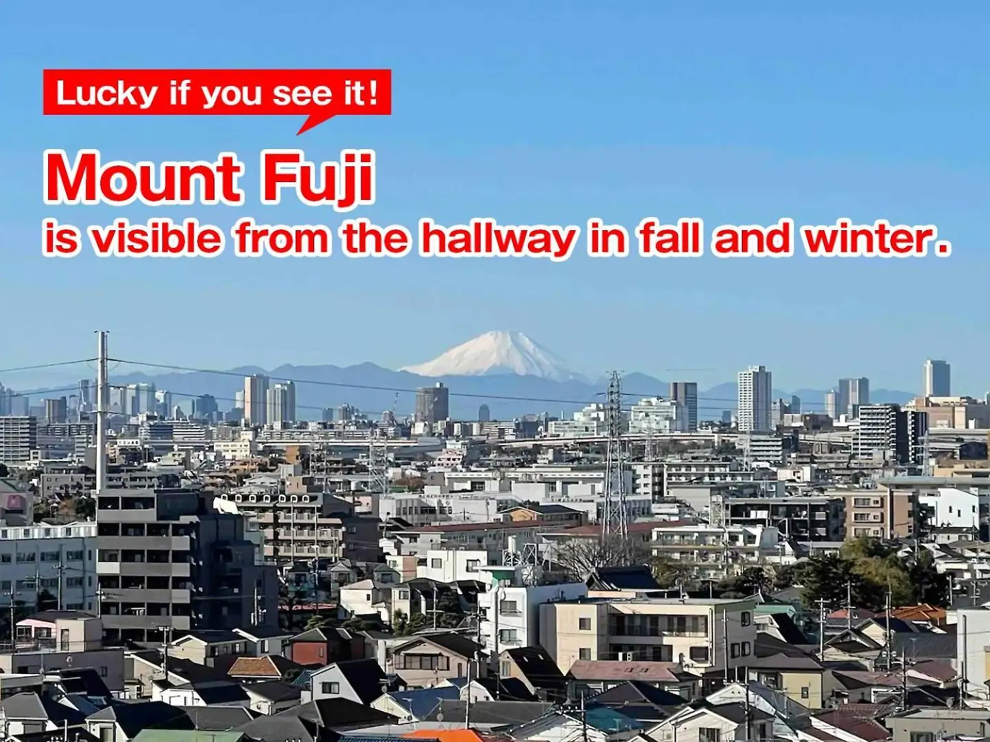 Kameari 1105 Budget Stay High Floor Near Station Mall Disney Access 東京都